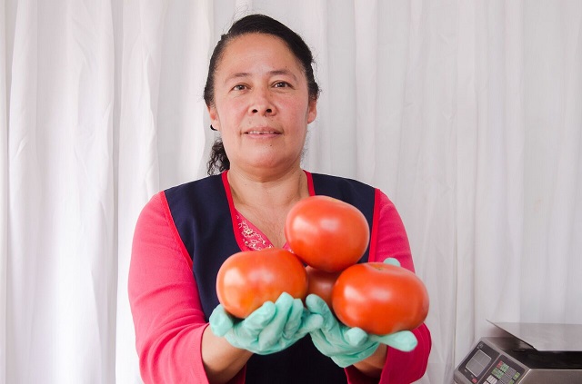 En riesgo, productores de jitomate en Puebla por aranceles de EUA