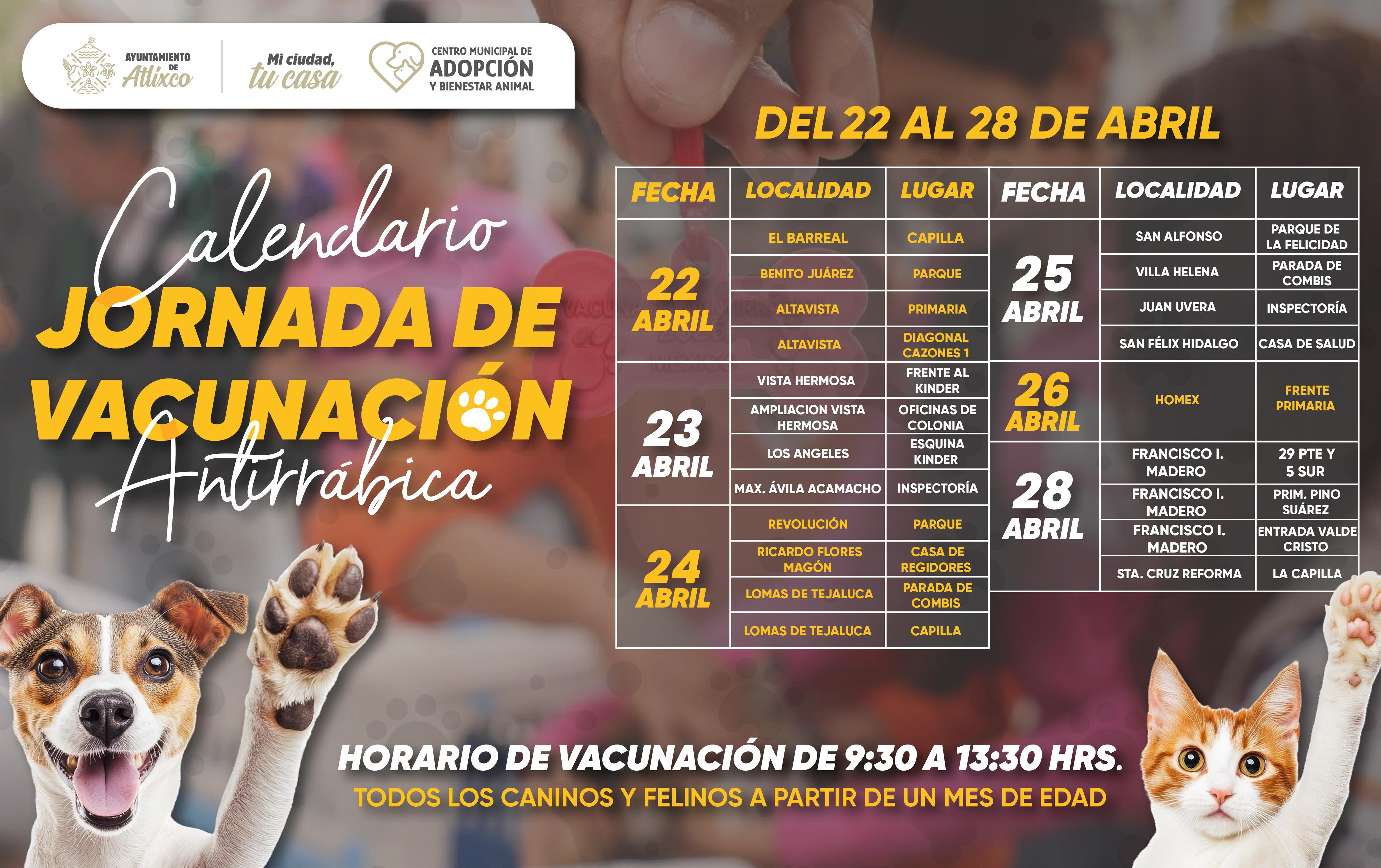 La edil de Atlixco sigue impulsando la vacunación antirrábica