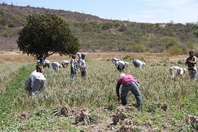 Agradecen a San Antonio por inicio de siembra en la Mixteca