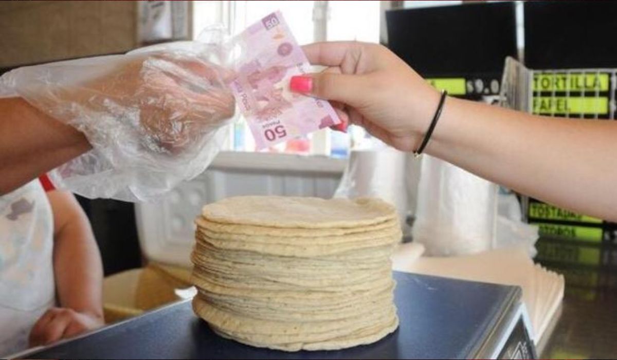 Puebla mantiene el kilo de tortillas entre los más baratos del país