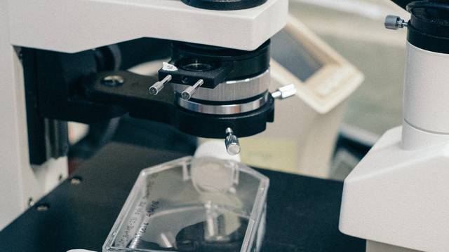Día Mundial de la Ciencia para la Paz y el Desarrollo
