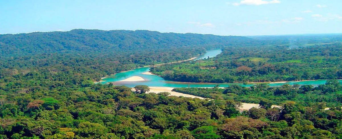 Suspenden visitas turísticas a Selva Lacandona en Chiapas