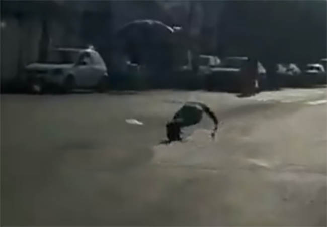 VIDEO En plena avenida sujeto hace lagartijas en Puebla