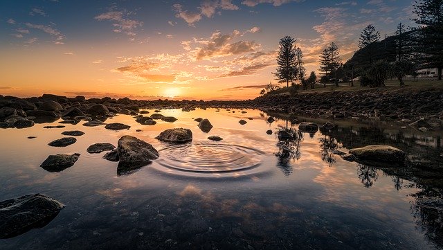 Con este vehículo robótico buscan limpiar los lagos contaminados