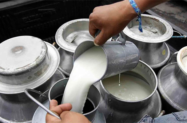 Federación Mexicana de Lechería alistan incremento del litro ante alza de insumos
