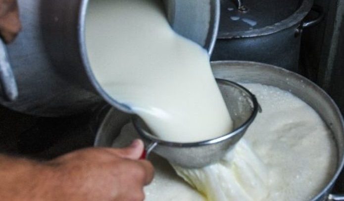 Incrementa leche bronca hasta 16% en seis meses en Chipilo