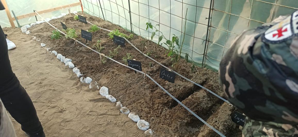 Elaboran proyecto en Libres para producción de legumbres
