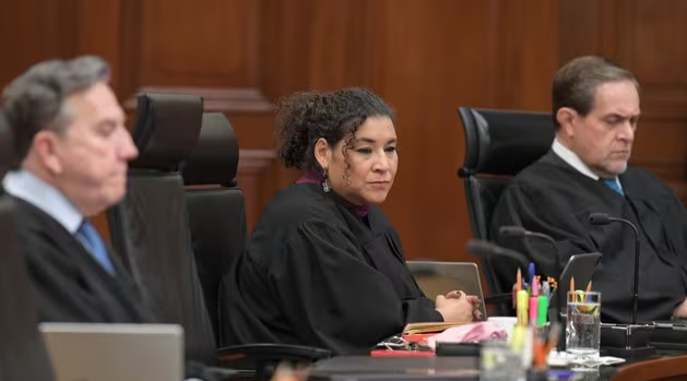 Lenia pretende dirimir en redes