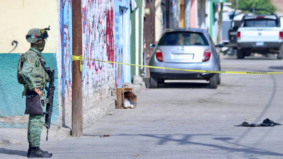Dejan restos humanos en nueve bolsas en León