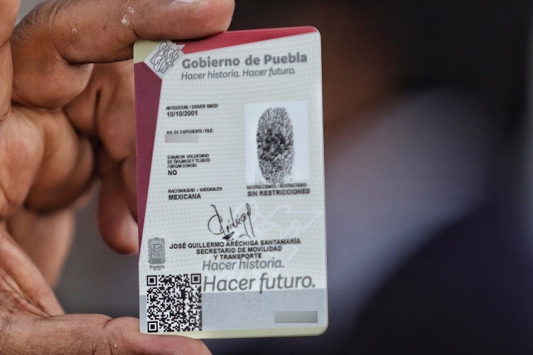 Hay células delictivas que expiden licencias de conducir falsas: Barbosa
