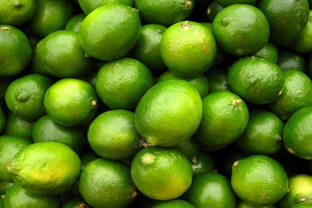Precio del limón se regularizará después de abril: Sagarpa