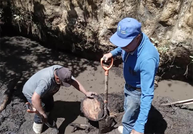 En Tlahuapan arrancan jornadas de rescate de ameyales y limpieza de barrancas