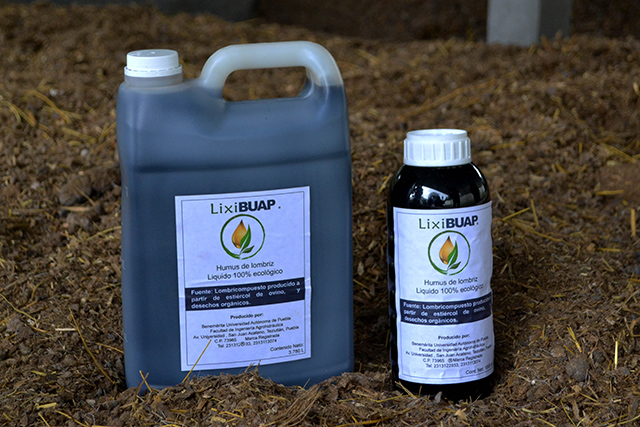 LombriBUAP, saber tradicional en fusión con la tecnología