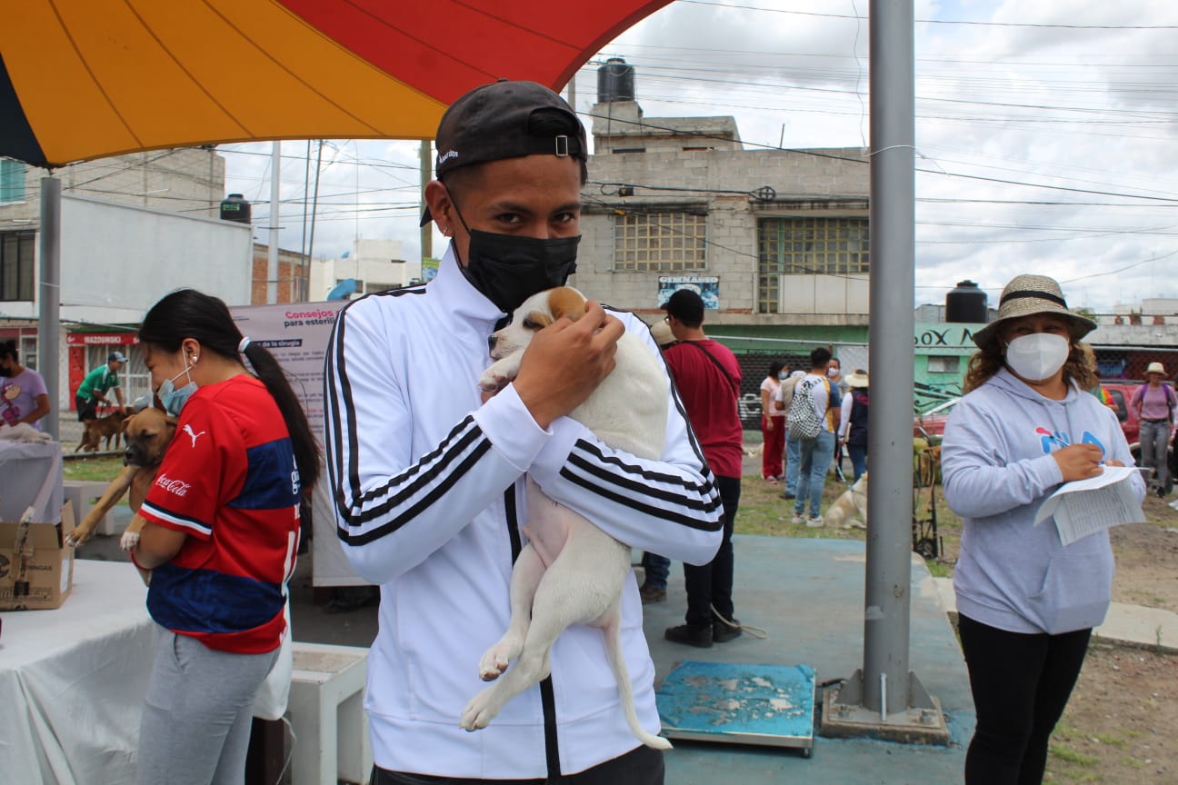 Lleva Ayuntamiento de Puebla servicios de esterilización y vacunas para animales