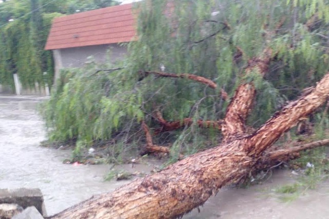 Reportan daños en casas y cultivos de Tehuacán y Serdán por lluvia y granizo