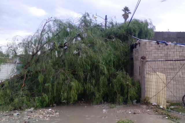 Reportan daños en casas y cultivos de Tehuacán y Serdán por lluvia y granizo