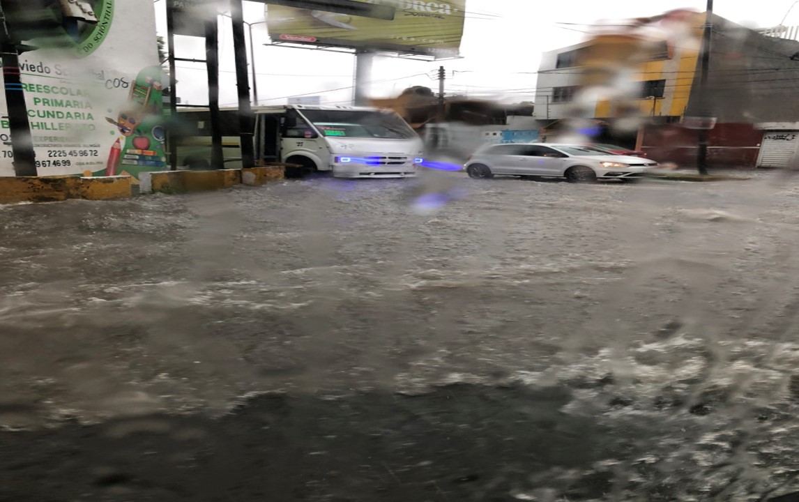 VIDEO Encharcamientos y caída de árboles deja la lluvia de este lunes