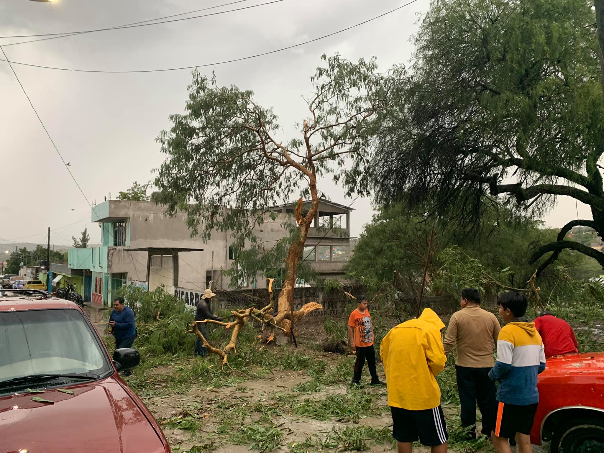 Intensa lluvia arrastra auto y tira árboles en Acatlán