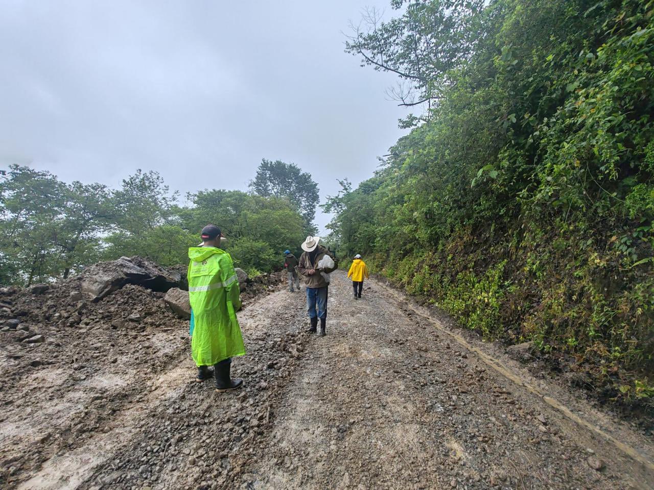 Por lluvias, 59 municipios de Puebla reciben ayuda para recuperación de cultivos