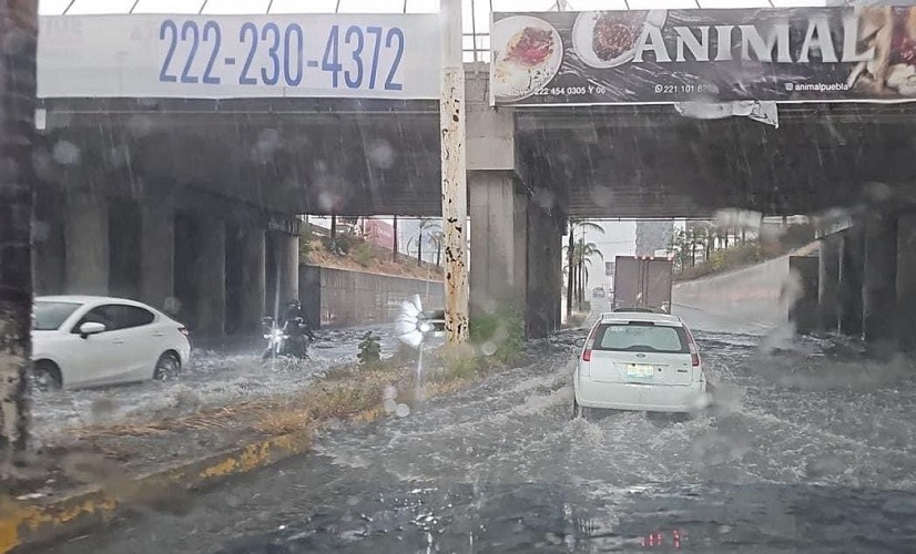 Deja lluvia inundaciones en Lomas de Angelópolis y caída de árboles