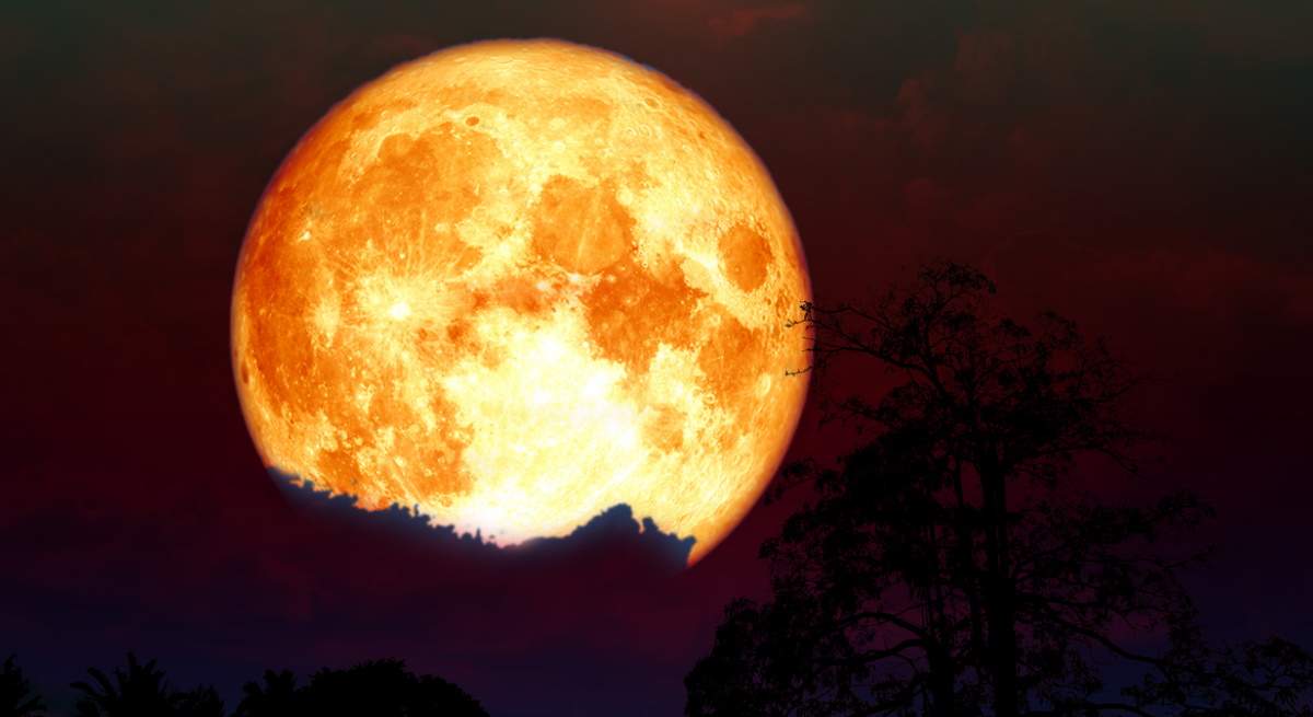 La Luna Ciervo se apreciará en todo el país, conoce de qué se trata 