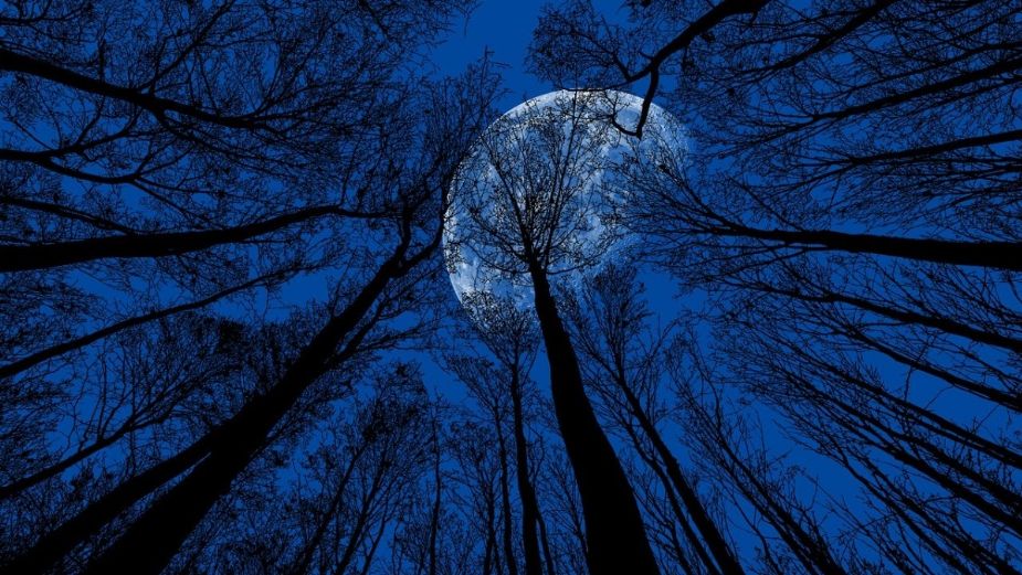 Habrá Luna Azul el próximo 31 de octubre