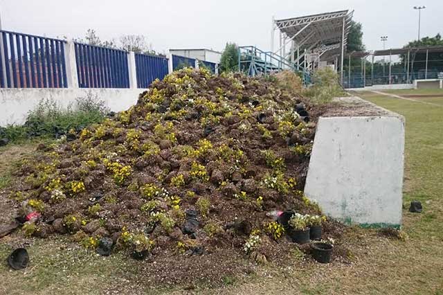 Tiran en campo de béisbol macetas que usaron en tapete de primavera de Atlixco