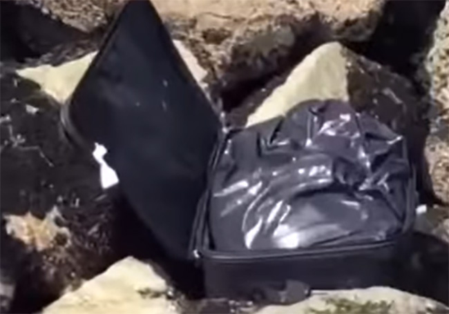 VIDEO Encuentran cadáver en maleta cuando grababan video en TikTok