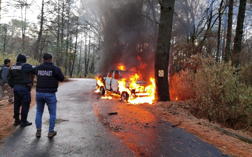 Denuncia Profepa a talamontes por agredir a inspectores en La Malinche