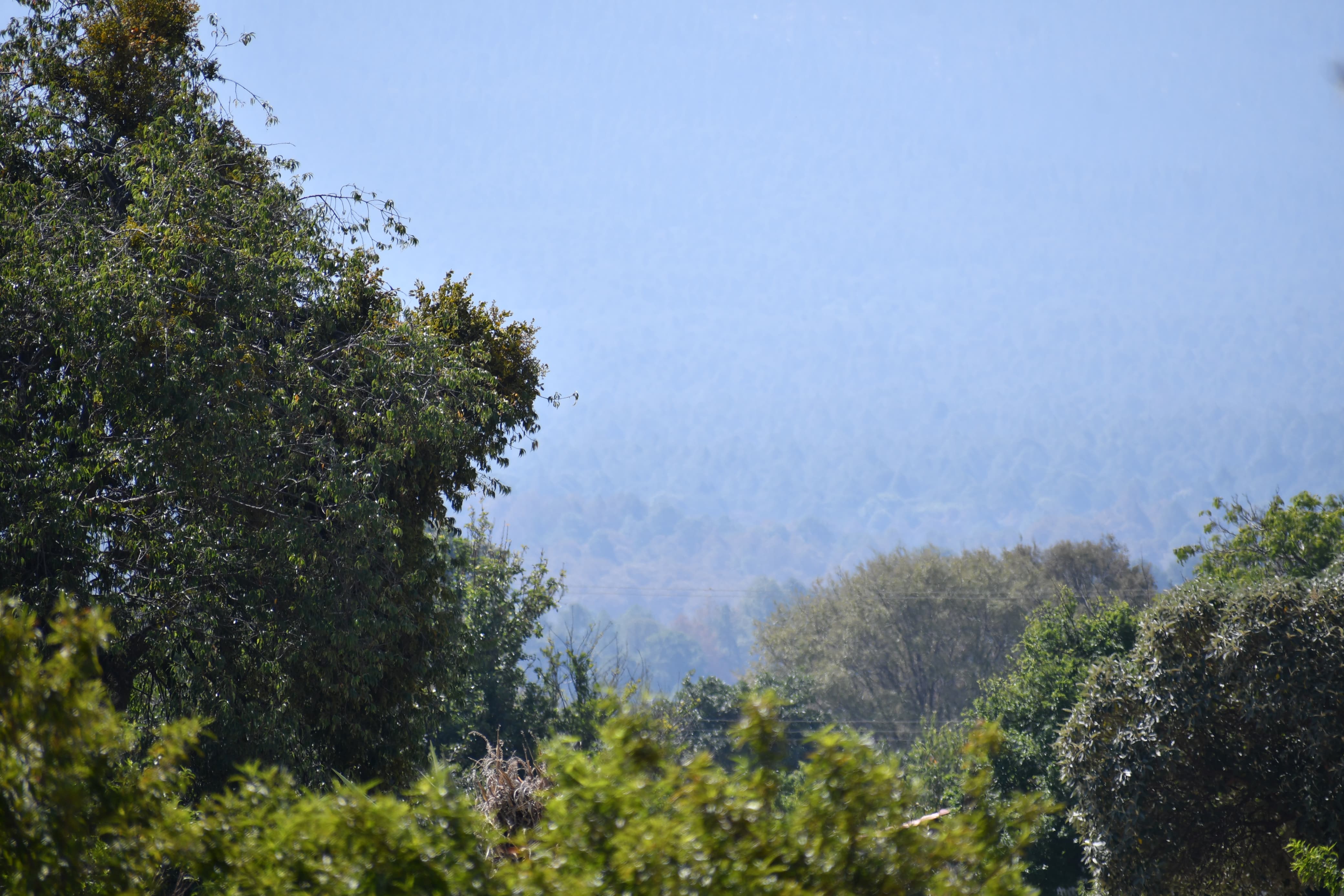 Puebla tendrá varios Ecoparques, afirmó Armenta