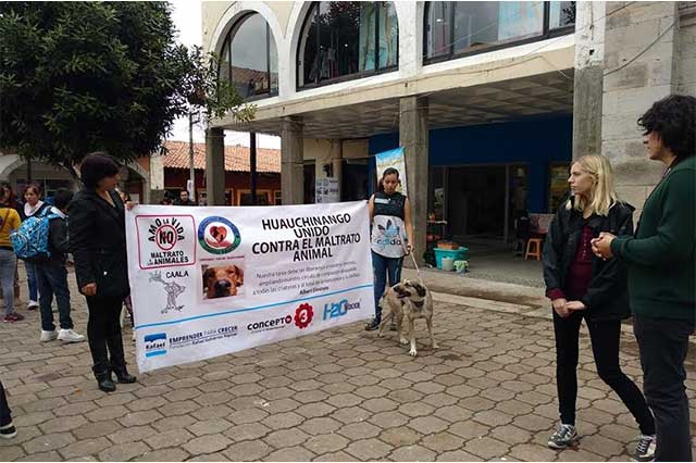 Activistas piden crear un reglamento contra maltrato animal en Huauchinango