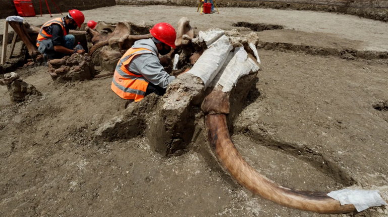 Santa Lucía, el descubrimiento paleontológico más importante en AL