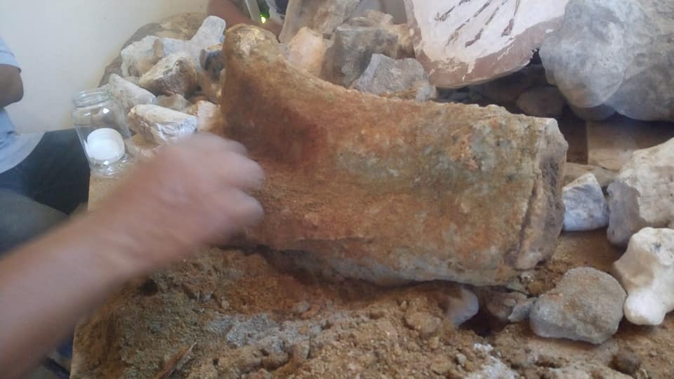 Encuentran vestigios de mamut en Zapotitlan Salinas