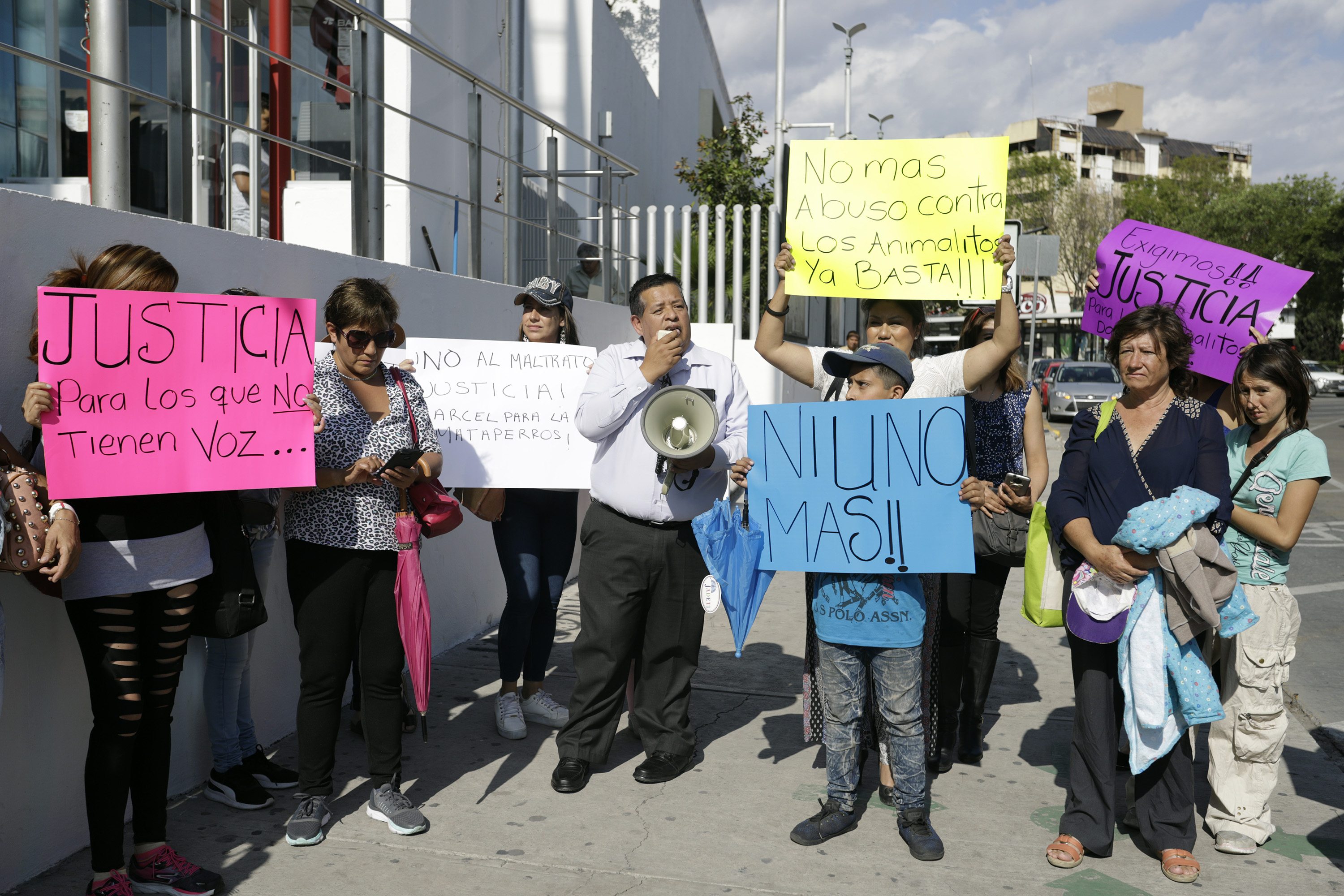 Piden castigar a mujer mataperros; diputados revisarán legislación