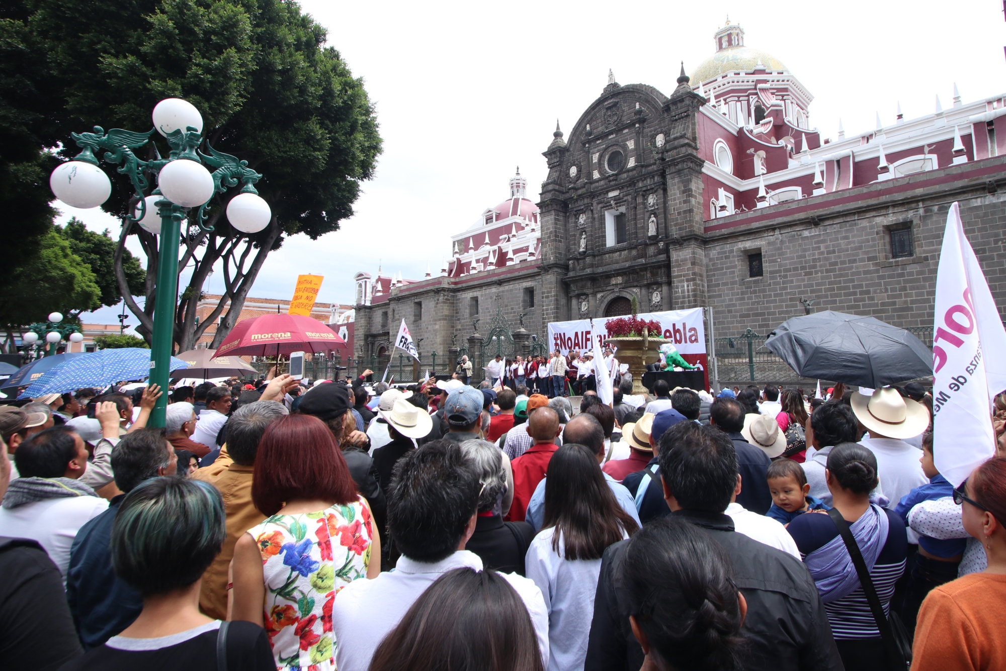 VIDEO: AMLO respalda la impugnación en Puebla: Polevnsky