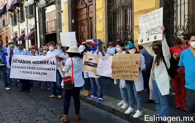 Veterinarios de Puebla se manifiestan contra Ley de bienestar animal
