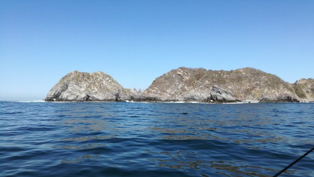 Alerta por Marea Roja en playas de Manzanillo; peligra la fauna marina