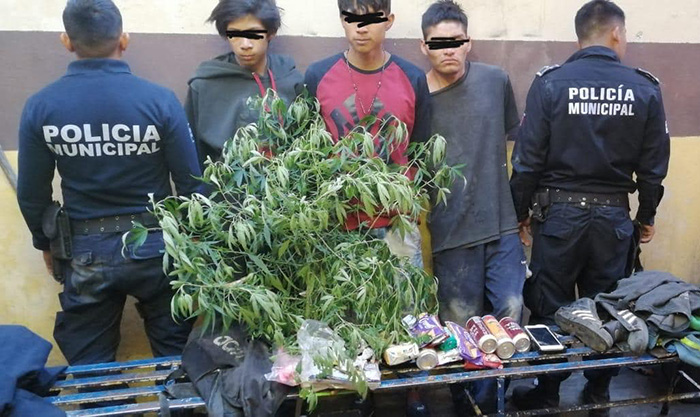 Detienen a ladrones menores de edad e incautan marihuana en azúcar