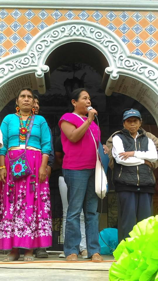 Marichuy se lanza contra megaproyectos en la Sierra Negra