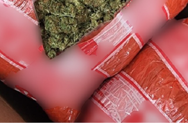 Enviaban marihuana por paquetería en 8 estados del país