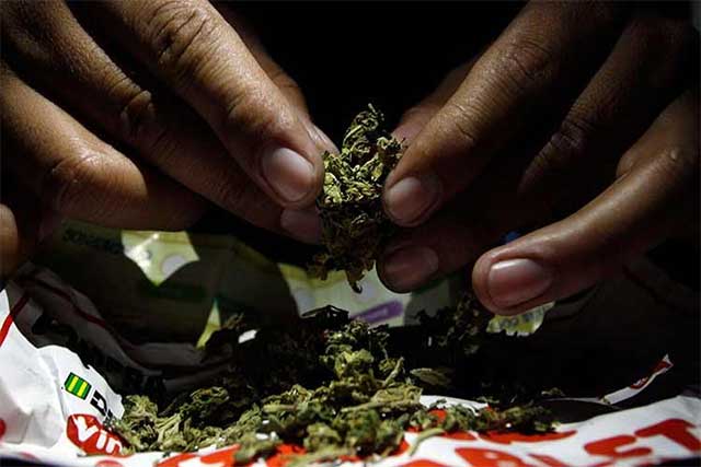 Consumo de marihuana entre jóvenes de Tehuacán aumentó 70% en 2016