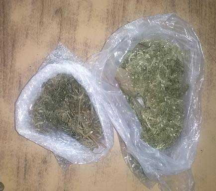 Detienen a dos hombres con marihuana en Huauchinango