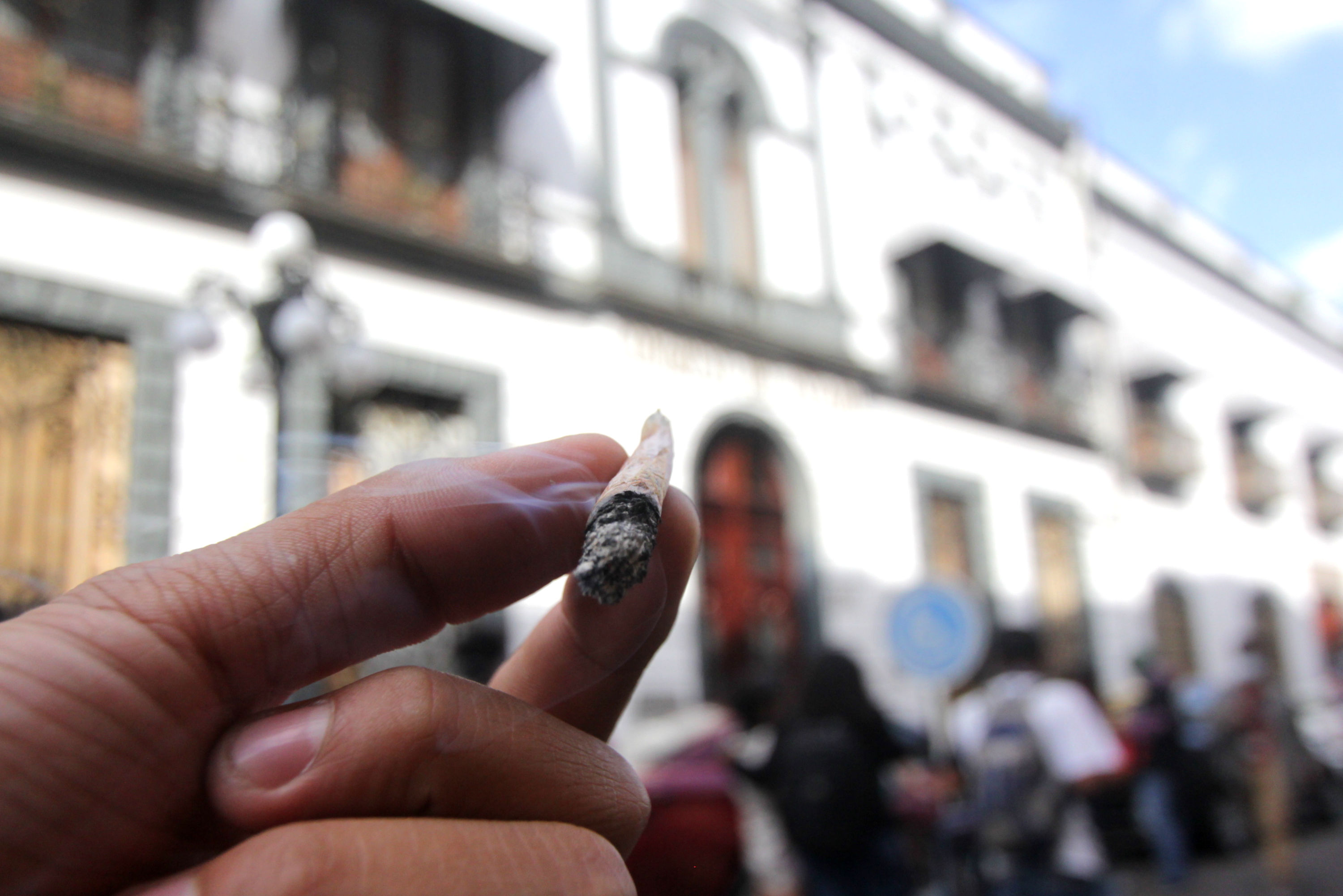 Grupo Pro Cannabis 420 marcha exigiendo legalización de la marihuana