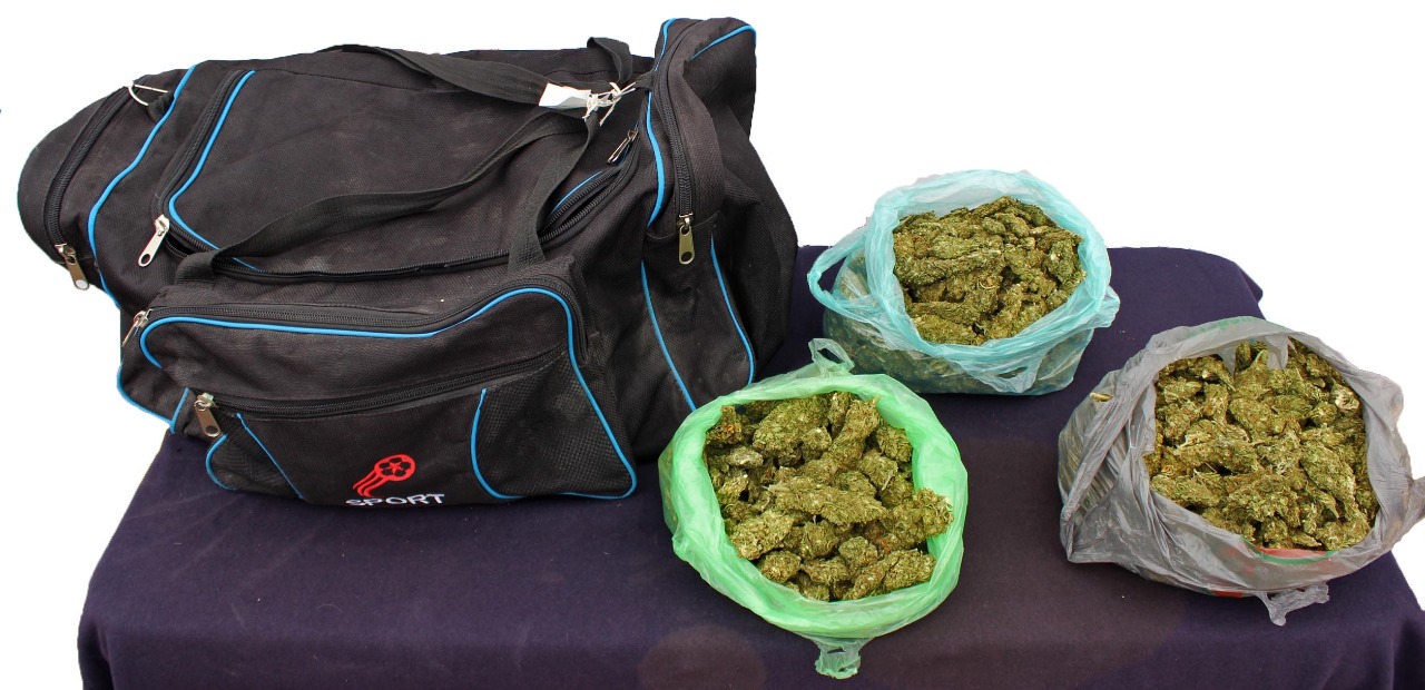 Detiene a sujeto con 2 kilos de marihuana en la CAPU