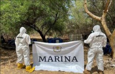 Localizan y neutralizan laboratorio clandestino en Sinaloa
