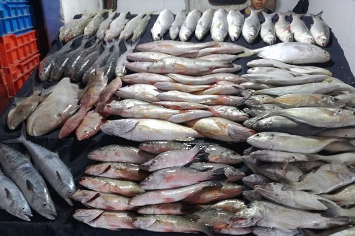 Aumenta venta y precio de mariscos en Izúcar