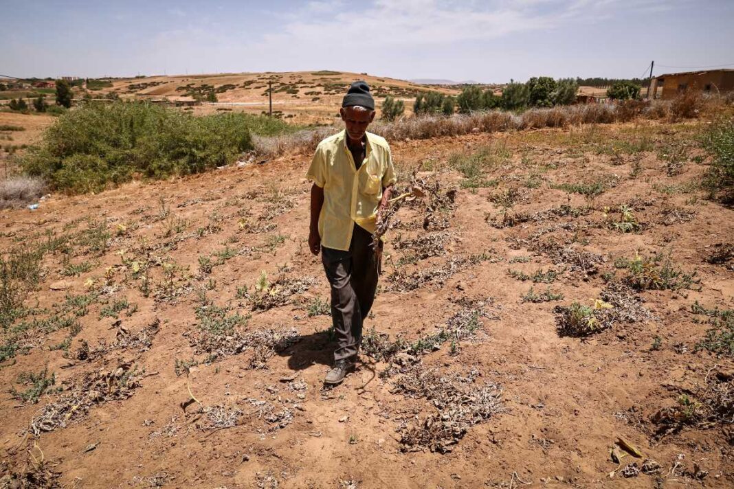 Onda de calor deja 21 muertos en Marruecos