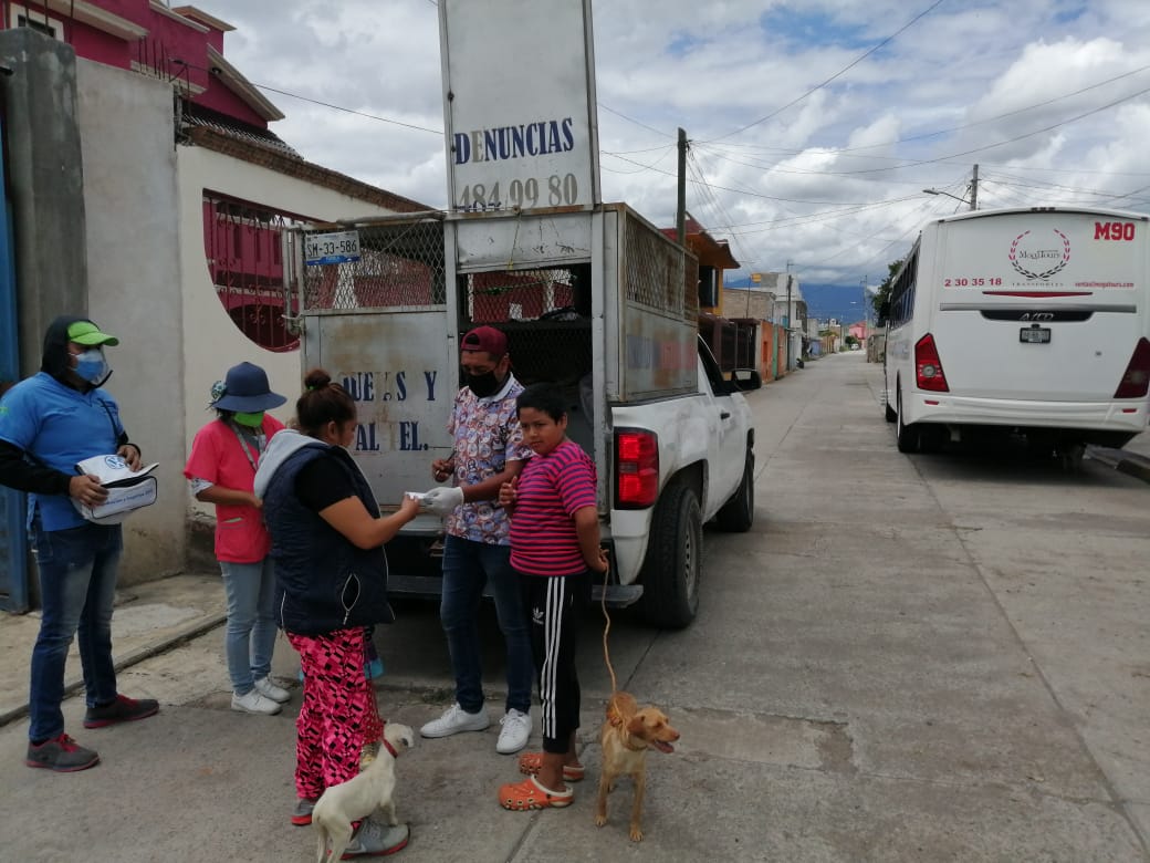 Consulta las fechas de la campaña de vacunación antirrábica en Texmelucan