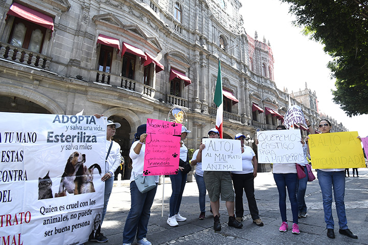 Solo 30 personan marchan contra liberación de la mataperros