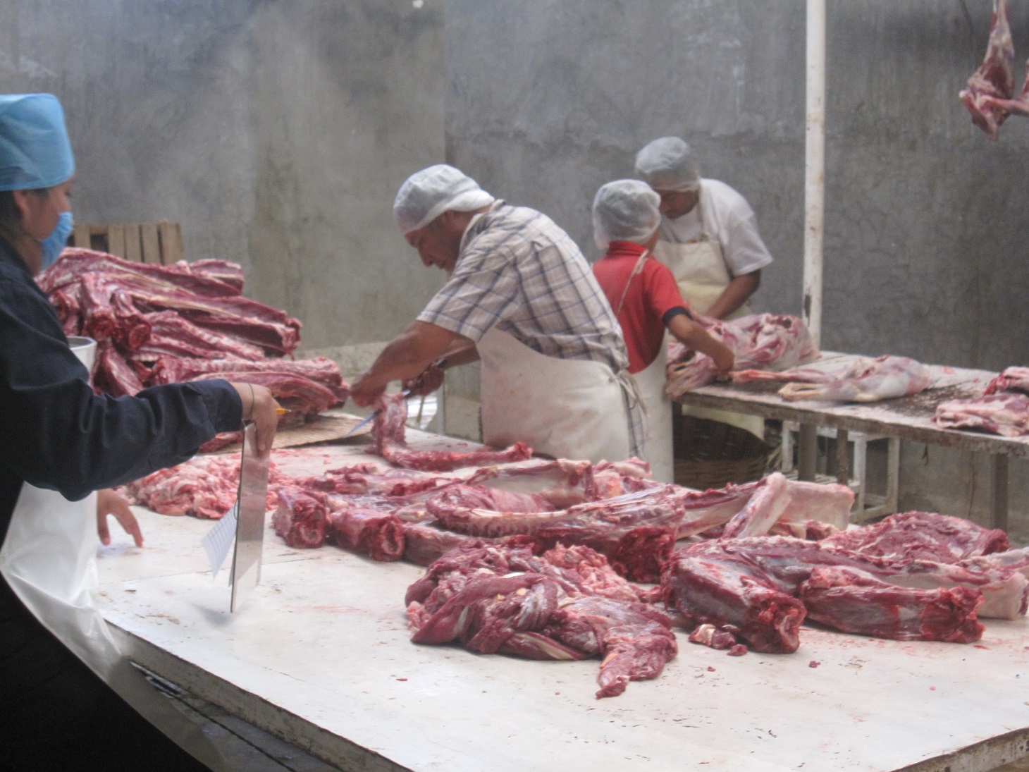 Retirarán la palabra Matanza para declaratoria de Patrimonio del Mole de Caderas